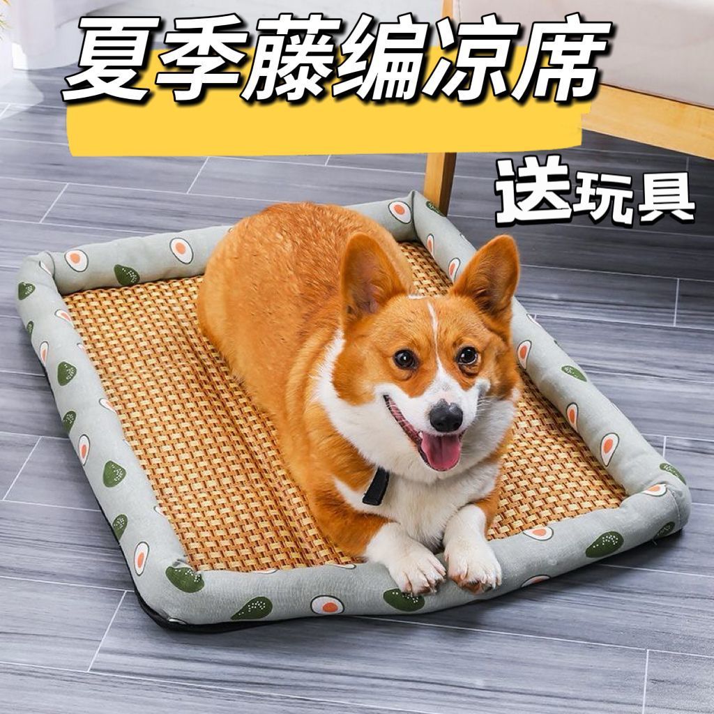 Upgraded version - Cooling (Avocado) Toy