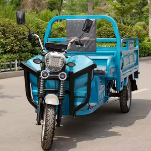 จักรยานสาม<span class=keywords><strong>ล้อ</strong></span>ไฟฟ้า850W-1000W จักรยาน<span class=keywords><strong>3</strong></span><span class=keywords><strong>ล้อ</strong></span>60V สำหรับผู้ใหญ่จักรยานสามล้อไฟฟ้าเปิดร่างกาย - Product Image 2