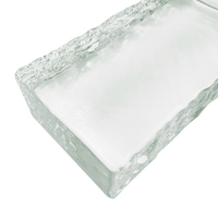 Briques décoratives creuses en verre trempé, résistantes au feu, imperméables, écologiques et durables pour hôtels, cliniques et cuisines