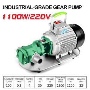 <span class=keywords><strong>Bomba</strong></span> <span class=keywords><strong>de</strong></span> Engranajes Industrial <span class=keywords><strong>de</strong></span> Alta Presión, Monofásica, Portátil, Eléctrica, <span class=keywords><strong>de</strong></span> 110V/220V, Venta Directa <span class=keywords><strong>de</strong></span> Fábrica Cavitt ODM/OEM - Product Image 6