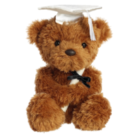 Fabricant Professionnel : Transformez Votre Conception en Peluches Personnalisées, Jouets en Peluche OEM ODM, Vente en Gros, Ours en Peluche de Remise de Diplôme