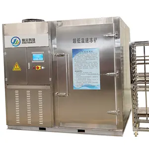 High Efficiency Blast Chiller Freezer Tunnel Freezer Sea Food Quick Freezing Stainless Steel 304 If Tunnel for Sea Food Meat