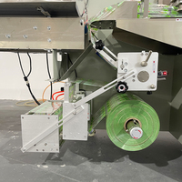 Machine d'emballage automatique de type Flow Type pour l'emballage de fruits et légumes frais