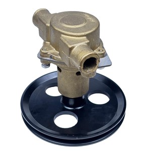 Nouvelle pompe à eau de mer brute RA057007 18830-0010 pour Marine 5.0 5.8 351 302 G20 G21 302 351 Haute Qualité - Product Image 5
