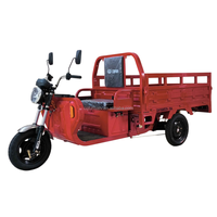 Quadricycle électrique Chongqing Cheetah Power - Nouveau modèle 2026, Véhicule électrique à 3 roues pour adultes