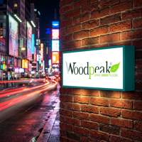 Tira de LED de PVC novedosa, letrero iluminado, varias aplicaciones de caja de luz, publicidad exterior, empresas domésticas, parques, tiendas, alimentación de CC de neón