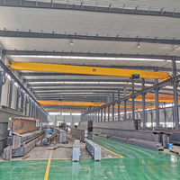 Grúa Puente Monoviga de Tipo Europeo para Manipulación Precisa de Materiales