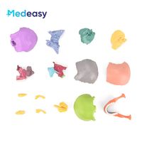 Modelo de Cráneo Humano Desmontable de 15 Partes a Escala 2:1 de Medeasy, Modelo Anatómico de Cráneo Médico de Tamaño Mini