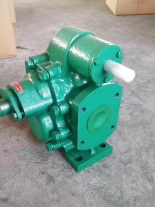 Pompa a Ingranaggi per Olio Greggio in Acciaio Inox Autolubrificante Elettrica a Bassa Pressione con Valvola di Scarico Pressione per Diesel - Product Image 6