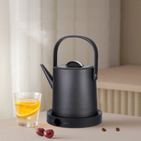 Bouilloire électrique anti-brûlure à double paroi de 1,0 L de qualité supérieure, intérieur en acier inoxydable 304, ébullition rapide, carafe à eau électrique pour la maison