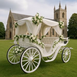 Elegante Carruaje Real de Lujo para 4-6 Personas, 4 Ruedas, Neumáticos de Goma Sólida, Color Personalizado para Bodas y Uso Turístico - Product Image 5