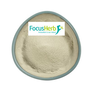 FocusHerb อาหารเสริมเกรดอาหาร ผลิตจากคลังสินค้าในสหรัฐอเมริกา สารสกัดจากสาหร่ายเคลป์ ผงสารสกัดสมุนไพร 85% ฟูโคอิแดน ผงสีขาว - Product Image 1