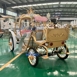 Calèche Citrouille Rétro Européenne Idéale pour Mariages, Fêtes, Visites de Parcs – Prise en Charge de la Personnalisation par l'Usine - Product Image 2