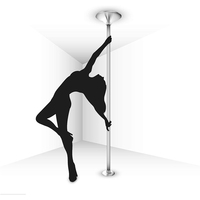 Kit de pole dance professionnel pour la maison, équipement de sport et de fitness, tube en acier