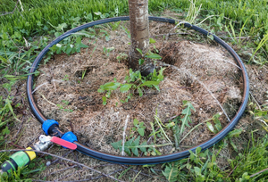 Arrosage agricole en gros Système d'irrigation goutte à goutte en polyéthylène pour irrigation goutte à goutte 1 <span class=keywords><strong>hectare</strong></span> fabriqué en Chine - Product Image 2