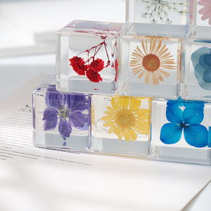 Fiore naturale in resina vera e propria collezione di esemplari floreali per bambini peso quadrato di carta cubo Art resina fermacarte fiore pressato - Product Image 4