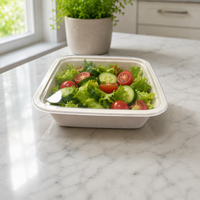 Barquette pour repas prêts à consommer en bagasse de canne à sucre avec revêtement PET, faible coût de moulage personnalisé, sans PFAS, compostable, pour aliments surgelés