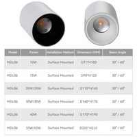 Downlight LED étanche IP65 à intensité variable avec plusieurs modes de gradation 30 ° /60 °   Projecteur intelligent Tuya Zigbee à montage en surface avec réglage de l'angle de faisceau