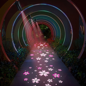 Ngoài trời RGB ánh sáng <span class=keywords><strong>laser</strong></span> không thấm nước Led năng động mô hình cá chiếu cho cửa đầu công viên Chiếu Sáng IP65 mặt đất chiếu - Product Image 5