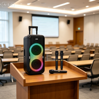 Altavoz Bluetooth de 100W RMS con Certificación CE y RoHS, Bajo MOQ, Venta al Por Mayor, Molde Privado, OEM, ODM, Logotipo Personalizado, Caja Colorida, Fabricante
