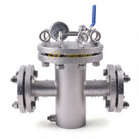 Filtre à panier duplex/simple en acier inoxydable pour pipeline industriel SS316L |   Filtration de liquides haute capacité OEM