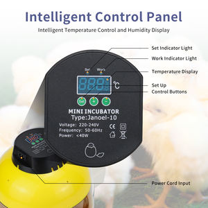 Incubateur miniature <span class=keywords><strong>Janoel</strong></span> pour <span class=keywords><strong>10</strong></span> œufs, machine à couver pour œufs de caille, de perroquet, de canard et d'oiseaux - Product Image 4
