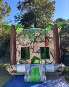 RY Comercial Castillo Hinchable Combinado de Dinosaurios para Niños y Adultos, Pequeño, con Zona de Salto y Tobogán - Product Image 2