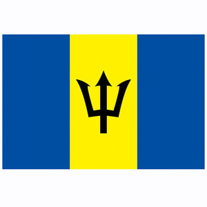 高品质3x 5英尺聚酯散装美国国旗阿富汗黑旗横幅