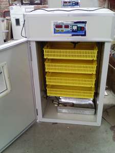 حاضنة بيض جديدة عالية الجودة بسعر منخفض/ZH-352 حاضنة صناعية لتفقيس بيض الدواجن - Product Image 5