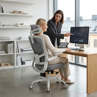 En stock, livraison rapide, chaise de bureau ergonomique à dossier haut en maille, appui-tête réglable, soutien lombaire, chaise de direction pivotante