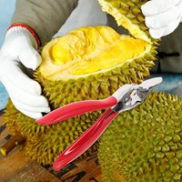 Durian Opener Handmatige Fruitopening Tool Voor Durian Shell Nieuwe Keuken Gebruiksvoorwerp Stalen Clip Groentegebruik Keuken Gadgets