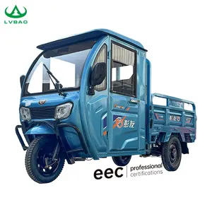 LB-QFB150M 1000W motor electric van cargo tricycle with wagon tricycle electric trike tricycle for cargo