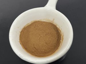 도매 건강 식품 등급 은행 잎 추출물 유기농 플라보노이드 테르펜 락톤 은행 추출물 분말 - Product Image 5