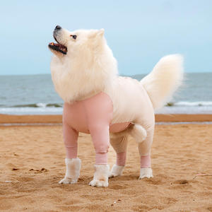 Ropa de refrigeración ajustable de verano para mascotas, chaqueta de refrigeración transpirable para perros con evaporación de paquetes de hielo - Product Image 2