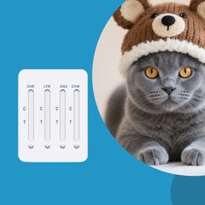 Kit de test rapide vétérinaire Vivatest pour chien CHW ANA LYM EHR, boîte de 10 pièces, diagnostic facile à réaliser - Product Image 4