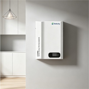 Sistema de Almacenamiento de Energía Solar Montado en Pared de 5-10kWh con BMS Inteligente - Product Image 5