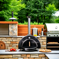 Four à pizza moderne de qualité supérieure, portable, pour l'extérieur, en acier inoxydable, noir titane, à charbon de bois/bois, double usage, allumage piézoélectrique