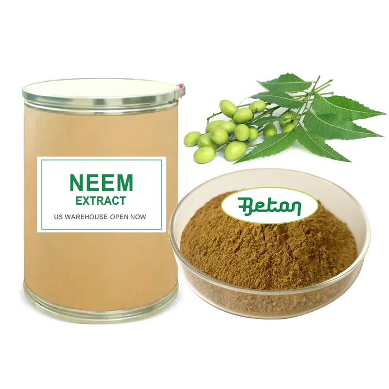 도매 유기농 Azadirachta Indica Neem 잎/잎 껍질 씨앗 커널 오일 추출물 Neem 잎 분말 공급 업체 10:1