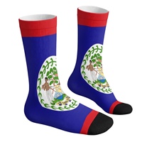 Drapeau de la Belize imprimé sur mesure, fanion semi-circulaire en polyester robuste pour l'encouragement lors des événements sportifs et la décoration des réunions familiales