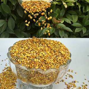 Polen de Abeja Natural de Grado Alimenticio, 100% Puro, Certificado HACCP, en Bolsa a Granel, Gránulos de Miel de Girasol Frescos de Alta Calidad - Product Image 4
