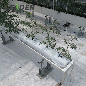 Support <span class=keywords><strong>de</strong></span> fixation pour gouttière <span class=keywords><strong>de</strong></span> <span class=keywords><strong>culture</strong></span> hydroponique en PVC pour serre <span class=keywords><strong>tunnel</strong></span> agricole robuste, pour la <span class=keywords><strong>culture</strong></span> <span class=keywords><strong>de</strong></span> fraises sans terre - Product Image 5