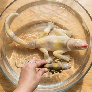 Jouets lézard à faire pousser dans l'eau <span class=keywords><strong>les</strong></span> plus vendus Produits chinois EVA tendance - Product Image 1