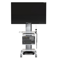 Meubles populaires de chariot de chariot de YKD-2100 d'IKEDA pour le moniteur médical de caméra d'endoscope à l'hôpital