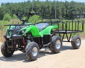 <span class=keywords><strong>Remorque</strong></span> agricole tout-terrain pour quad, personnalisable, moteur 4 temps 200cc, quadricycle adulte avec capacité de charge de 300 <span class=keywords><strong>kg</strong></span> - Product Image 2