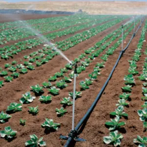 Farmland penjepit Sprinkler irigasi, pendukung PVC Sprinkler berdiri pipa Riser kaus sadel wanita