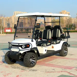 Street Legal Brand New 4 Wheel Electric Club Car Mini 2 4 6 Seats Off-road Electric Golf Cart