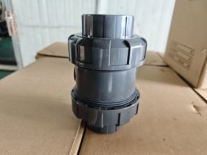 Accesorios para Bomba de Agua, Válvula Antirretorno Tipo Resorte - Product Image 2