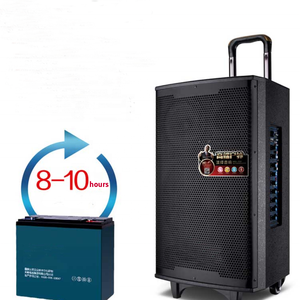 ลำโพงเคลื่อนที่แบบพกพาขนาด 12 นิ้ว พร้อมพอร์ต USB และแบตเตอรี่แบบชาร์จได้ ลำโพงแบบมีล้อลาก ระบบเสียงกลางแจ้ง ลำโพงแบบชาร์จได้ OEM - Product Image 2