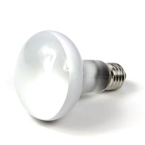 Lampu Pemanas Reptil <span class=keywords><strong>UVB</strong></span> UVA 100W dengan Ballast Terintegrasi, Lampu Uap Merkuri <span class=keywords><strong>Ultraviolet</strong></span> untuk Naga Berjanggut, Kadal, Kura-kura, Amfibi - Product Image 2