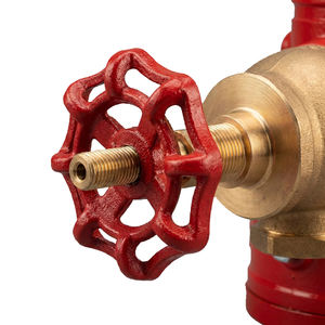 Valvola di non ritorno per ugello a pistola per la protezione di sistemi antincendio e tubi verticali - Product Image 3